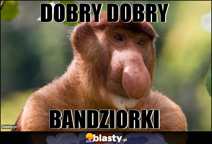 Dobry dobry Dobry dobry