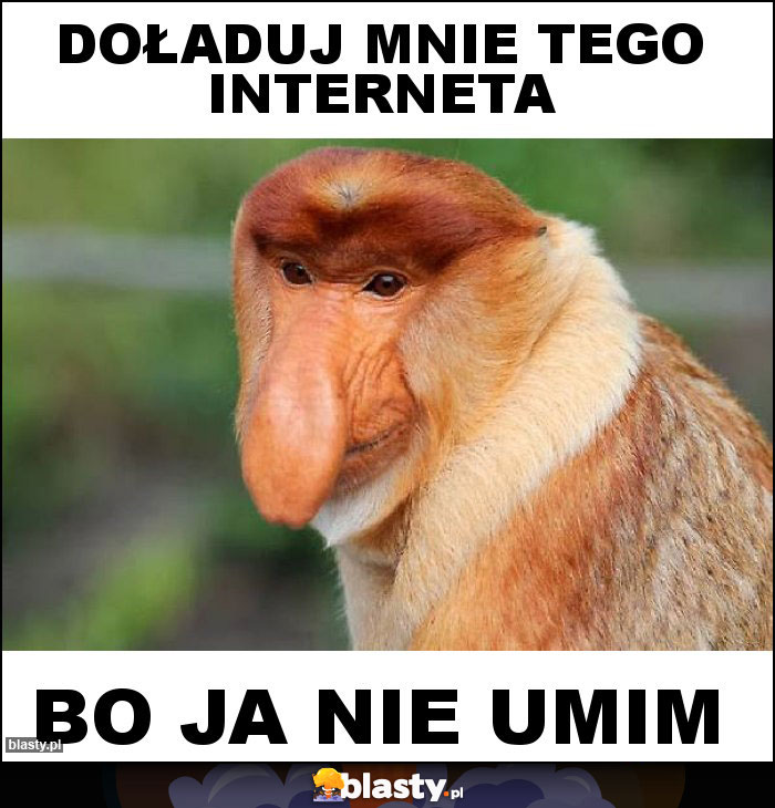 Doładuj mnie tego interneta Doładuj mnie tego interneta