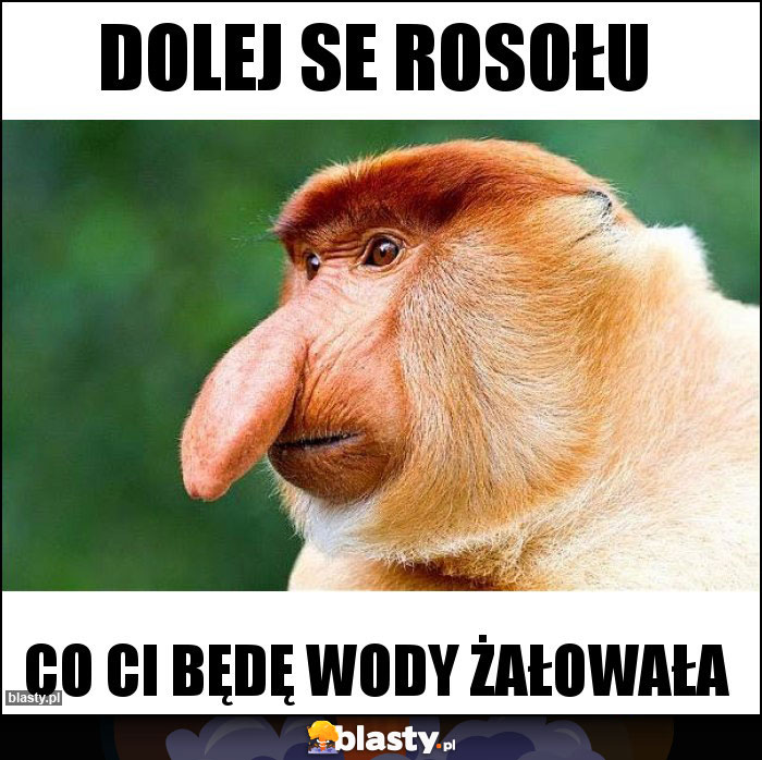 dolej se rosołu dolej se rosołu
