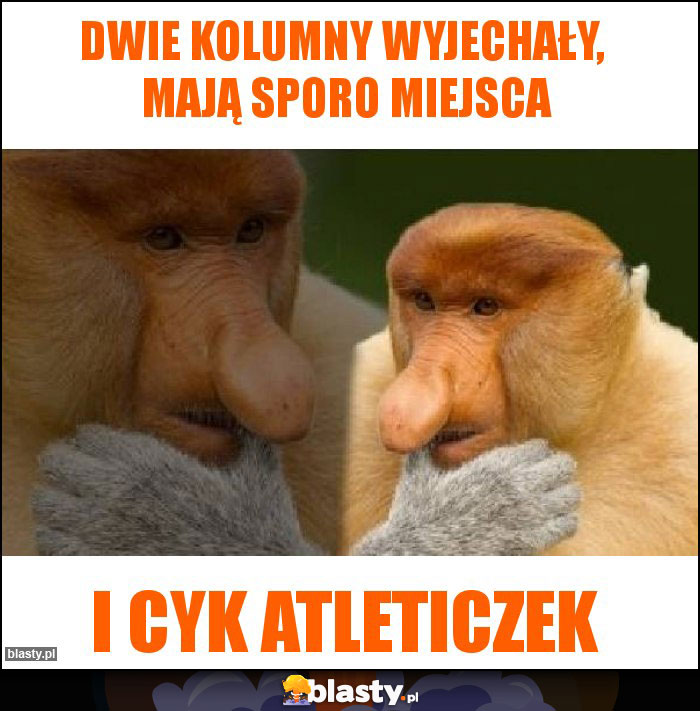 dwie kolumny wyjechały, mają sporo miejsca dwie kolumny wyjechały, mają sporo miejsca