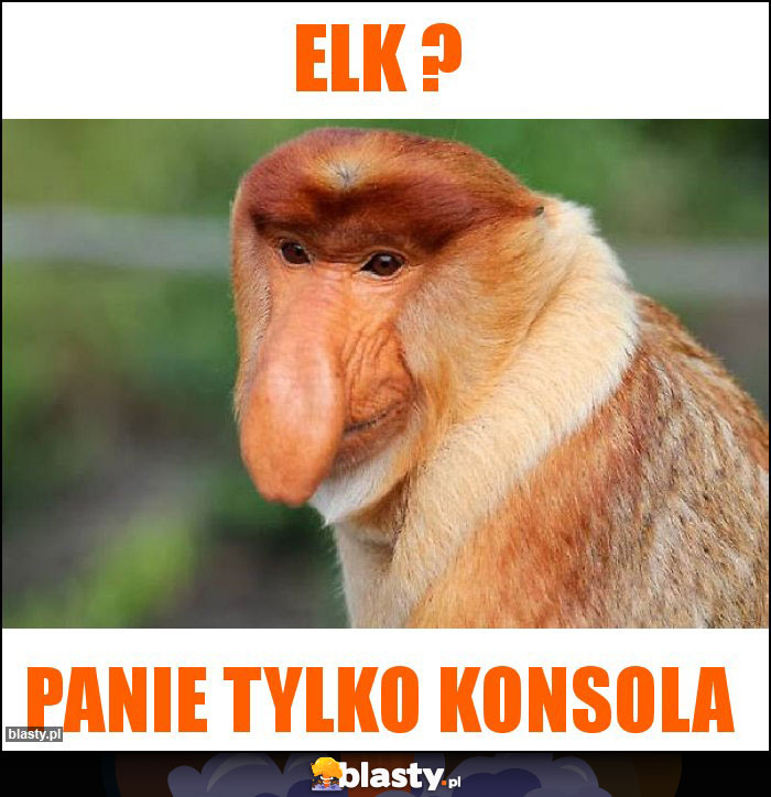 ELK ?