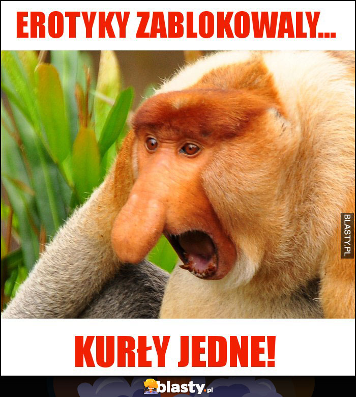EROTYKY ZABLOKOWALY... EROTYKY ZABLOKOWALY...