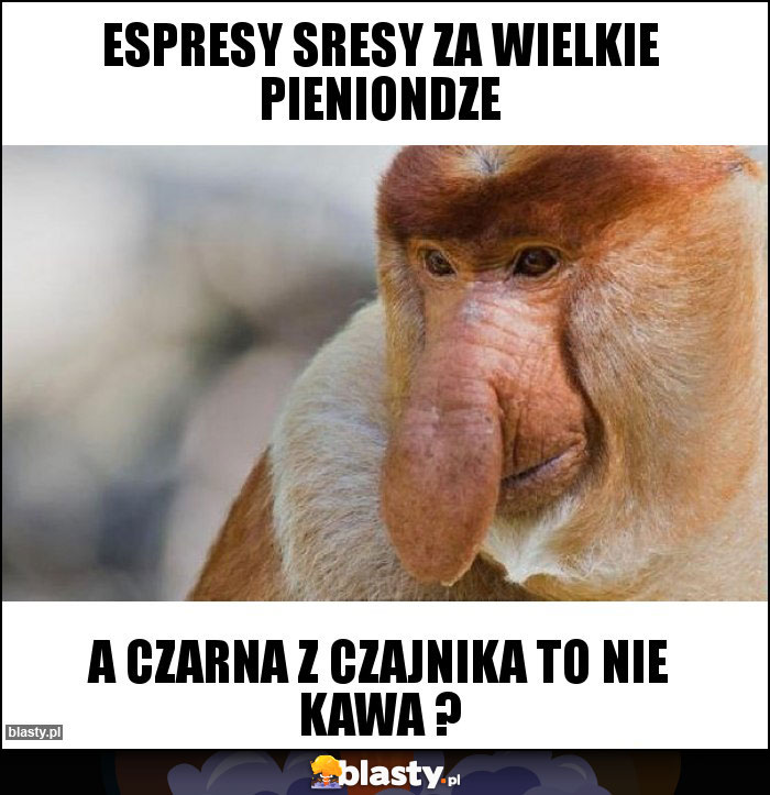 Espresy sresy za wielkie pieniondze Espresy sresy za wielkie pieniondze