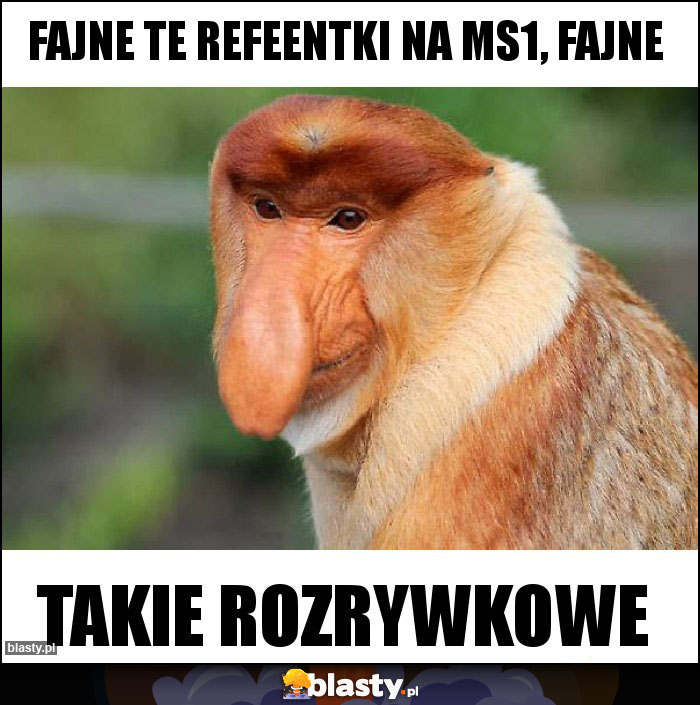 FAJNE TE REFEENTKI NA MS1, FAJNE FAJNE TE REFEENTKI NA MS1, FAJNE
