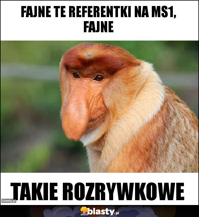 fajne te referentki na MS1, fajne fajne te referentki na MS1, fajne