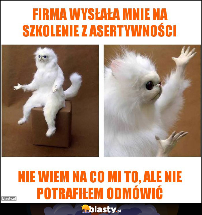 Firma wysłała mnie na szkolenie z asertywności