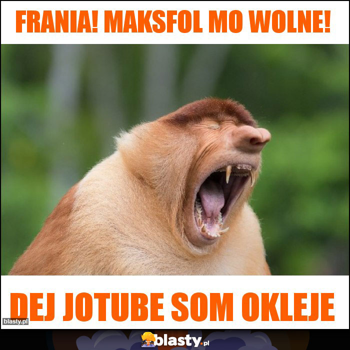 Frania! Maksfol mo wolne! Frania! Maksfol mo wolne!
