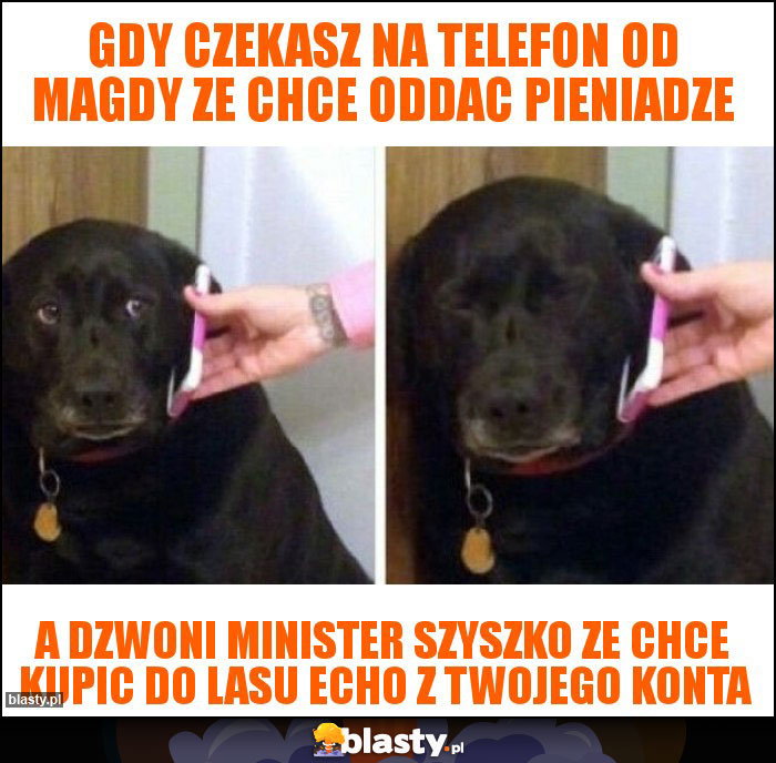 gdy czekasz na telefon od magdy ze chce oddac pieniadze gdy czekasz na telefon od magdy ze chce oddac pieniadze