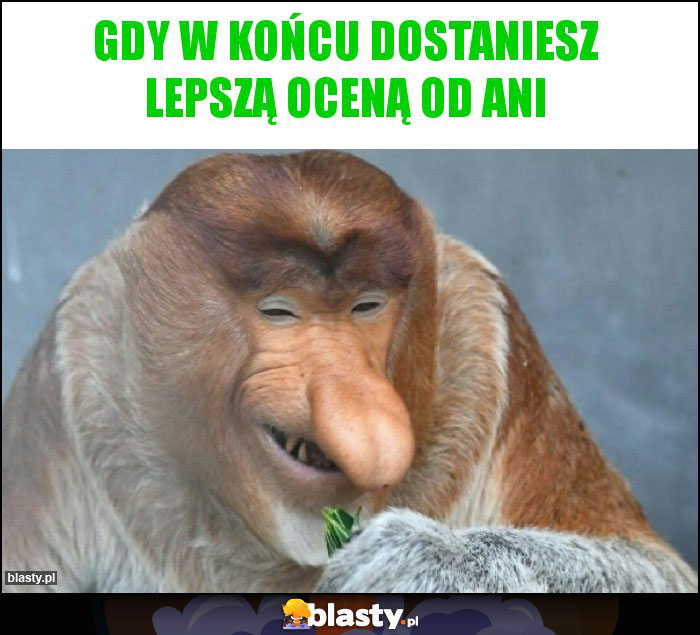 Gdy w końcu dostaniesz lepszą oceną od Ani Gdy w końcu dostaniesz lepszą oceną od Ani