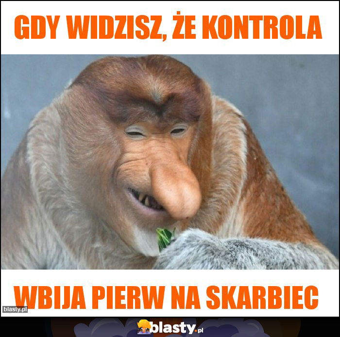 GDY WIDZISZ, ŻE KONTROLA GDY WIDZISZ, ŻE KONTROLA