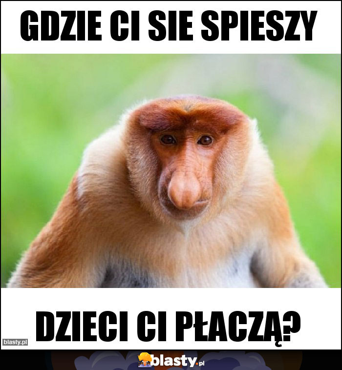 GDZIE CI SIE SPIESZY GDZIE CI SIE SPIESZY