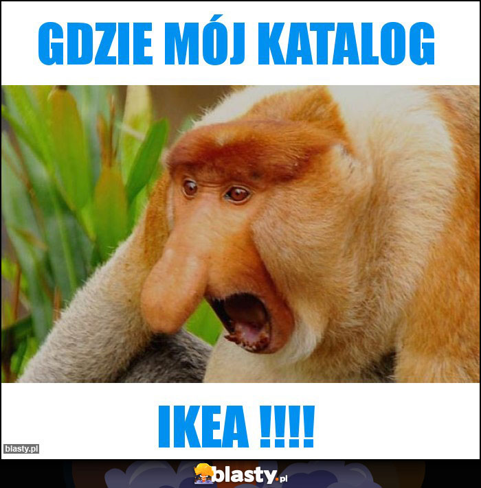 GDZIE MÓJ KATALOG GDZIE MÓJ KATALOG