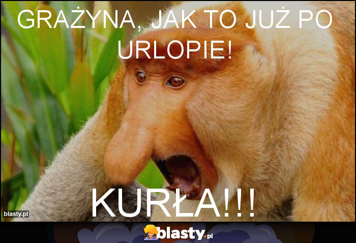 Grażyna, jak to już po urlopie! Grażyna, jak to już po urlopie!