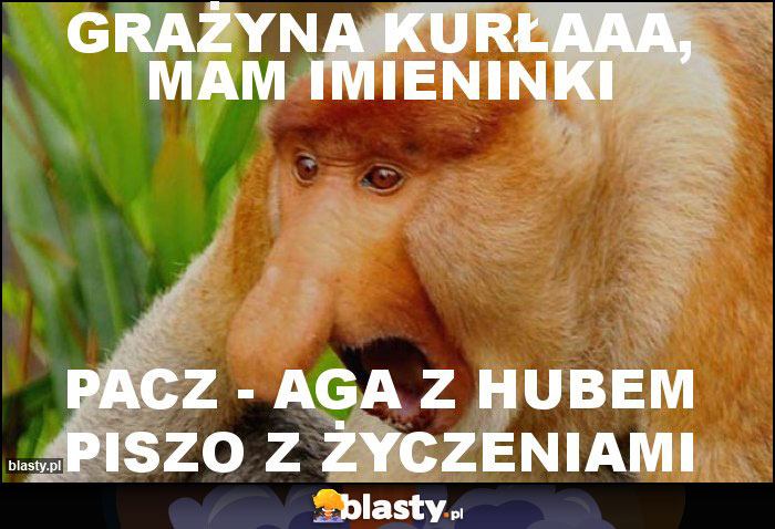 Grażyna kurłaaa, mam imieninki Grażyna kurłaaa, mam imieninki