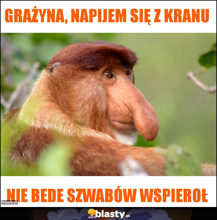 Grażyna, napijem się z kranu Grażyna, napijem się z kranu
