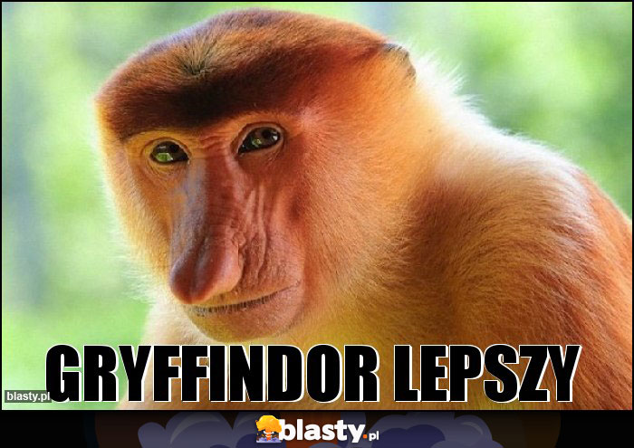 GRYFFINDOR LEPSZY GRYFFINDOR LEPSZY