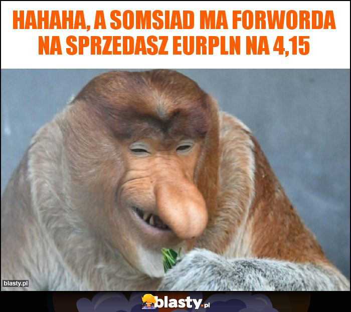 hahaha, a somsiad ma forworda na sprzedasz EURPLN na 4,15 hahaha, a somsiad ma forworda na sprzedasz EURPLN na 4,15