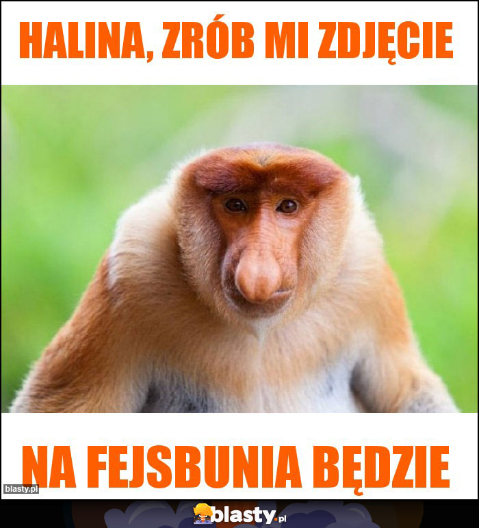 Halina, zrób mi zdjęcie Halina, zrób mi zdjęcie