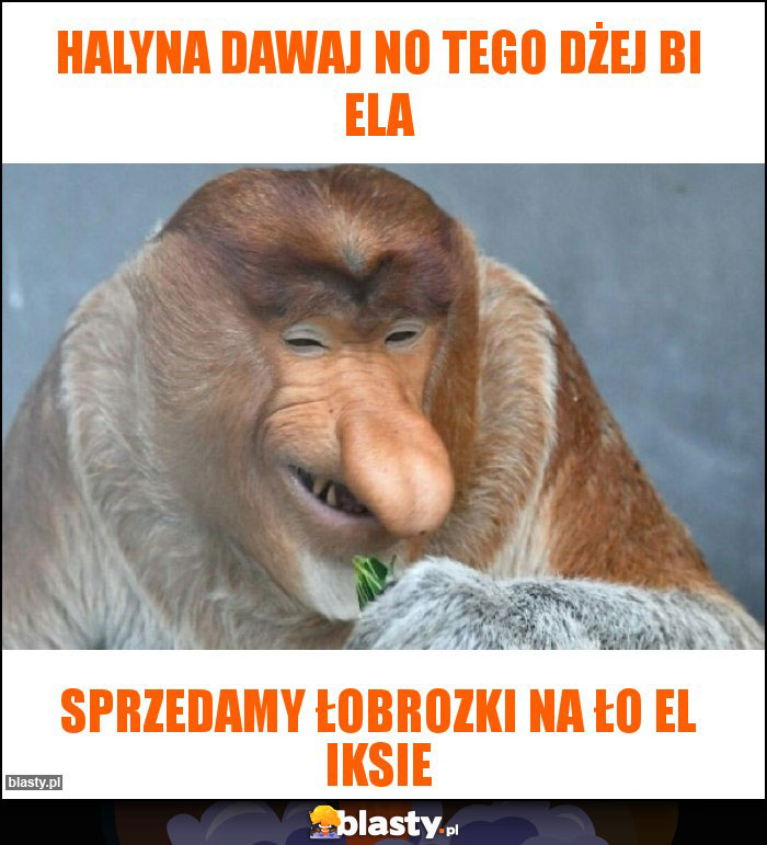 Halyna dawaj no tego dżej bi ela Halyna dawaj no tego dżej bi ela