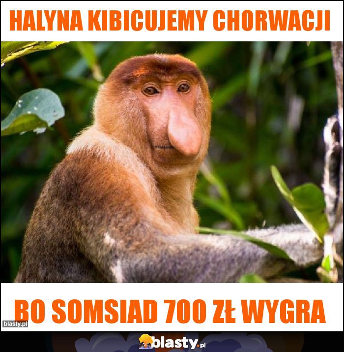Halyna kibicujemy Chorwacji Halyna kibicujemy Chorwacji