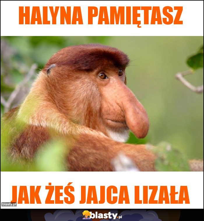 Halyna pamiętasz Halyna pamiętasz