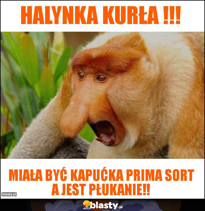 Halynka kurła !!! Halynka kurła !!!