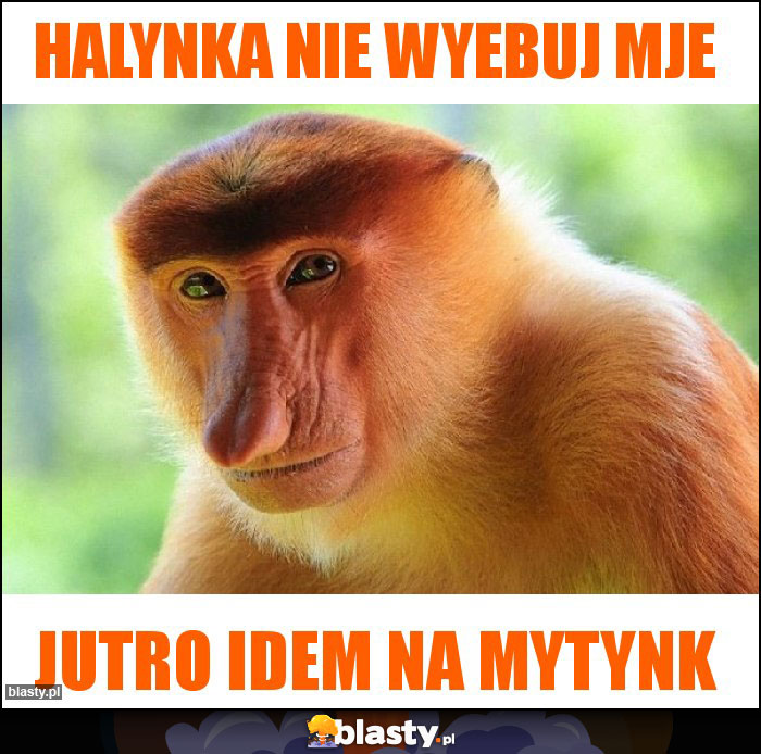 Halynka nie wyebuj mje Halynka nie wyebuj mje