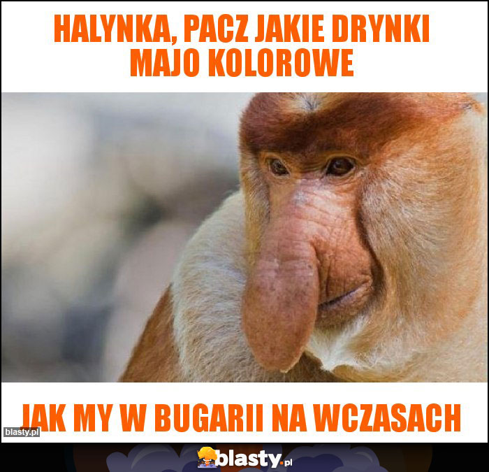 Halynka, pacz jakie drynki majo kolorowe Halynka, pacz jakie drynki majo kolorowe
