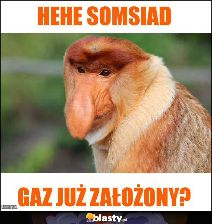 HeHe Somsiad HeHe Somsiad