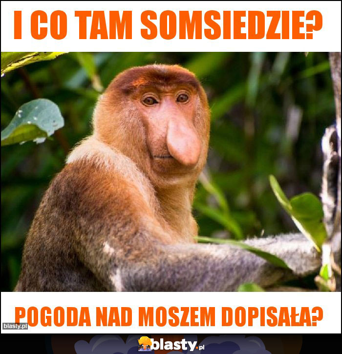 I CO TAM SOMSIEDZIE?