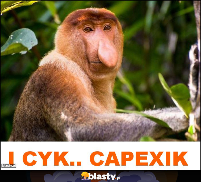 I CYK.. CAPEXIK I CYK.. CAPEXIK