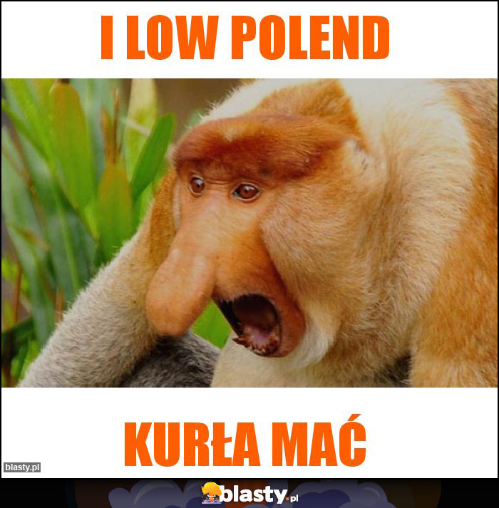 I LOW POLEND I LOW POLEND