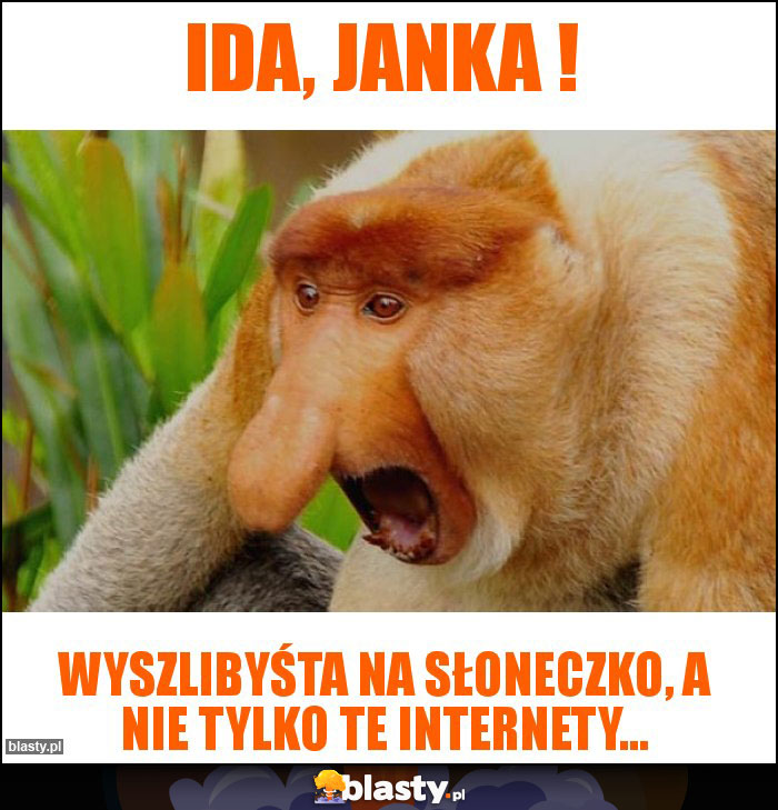 Ida, Janka ! Ida, Janka !