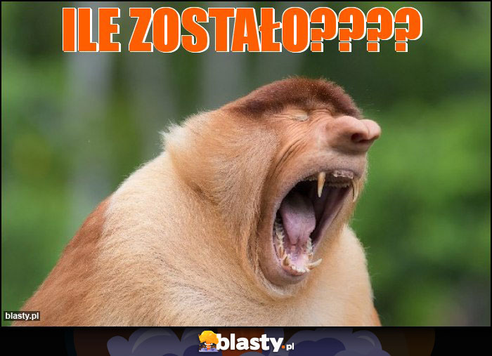 Ile zostało???? Ile zostało????