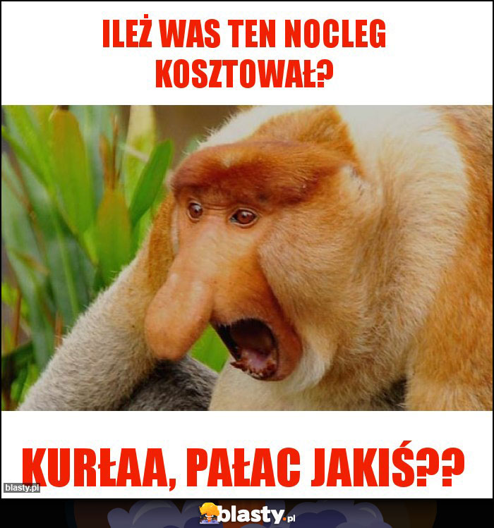 Ileż Was ten nocleg kosztował? Ileż Was ten nocleg kosztował?