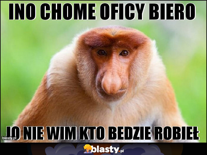 ino chome oficy biero ino chome oficy biero