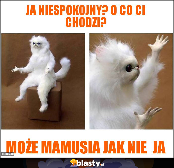 Ja niespokojny? O co Ci chodzi? Ja niespokojny? O co Ci chodzi?