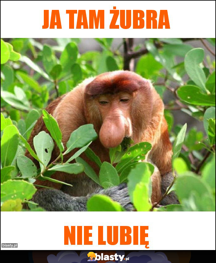 Ja tam żubra Ja tam żubra