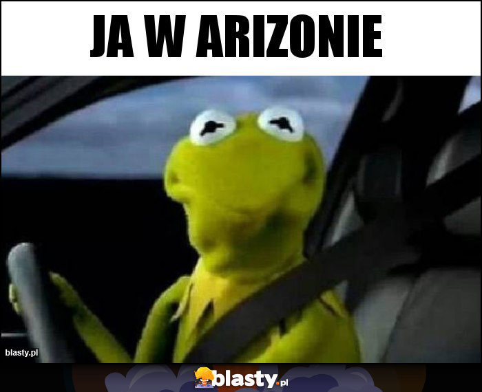 Ja w Arizonie Ja w Arizonie