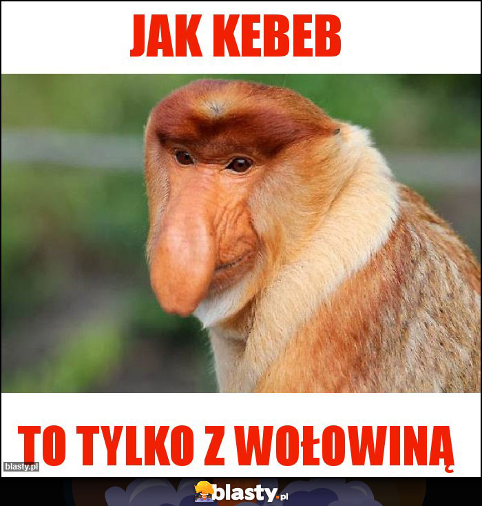 JAK KEBEB
