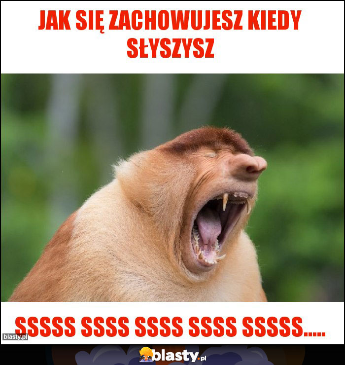 Jak się zachowujesz kiedy słyszysz Jak się zachowujesz kiedy słyszysz