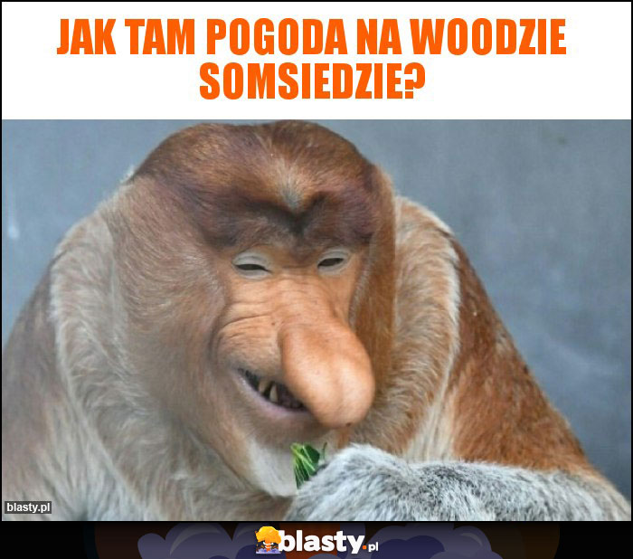 Jak tam pogoda na woodzie somsiedzie?