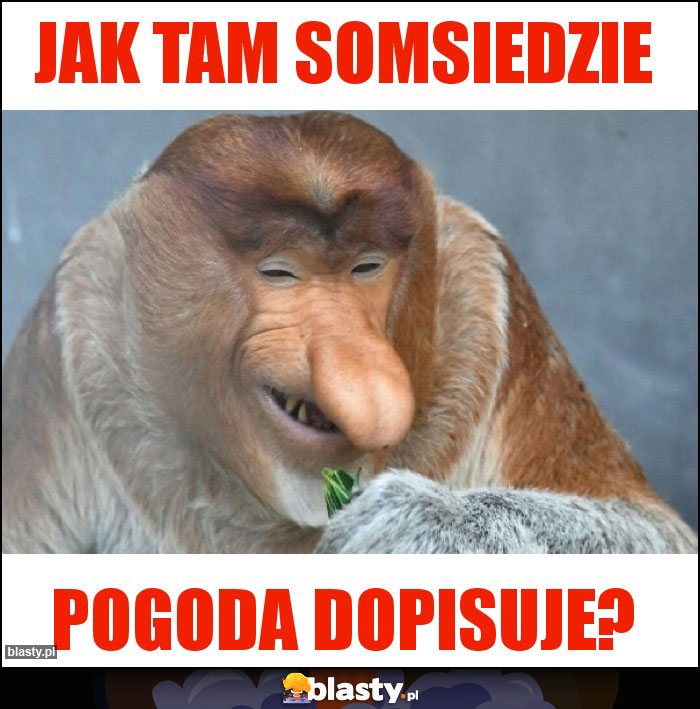 Jak tam somsiedzie