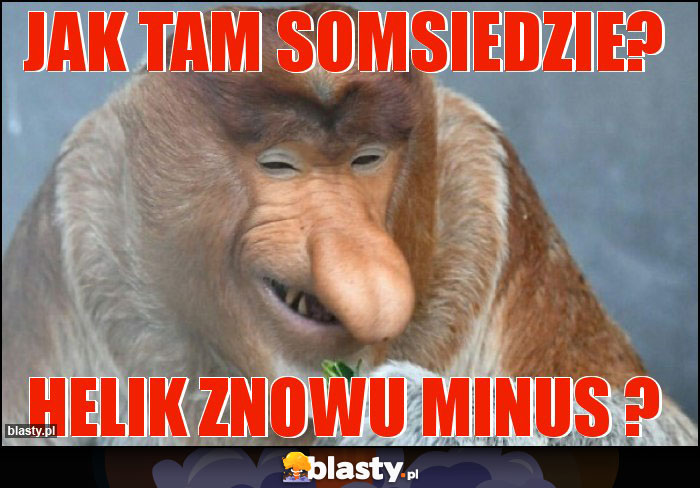 Jak tam somsiedzie? Jak tam somsiedzie?