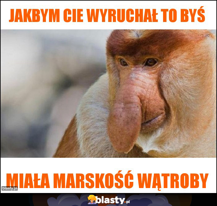 Jakbym Cie wyruchał to byś Jakbym Cie wyruchał to byś