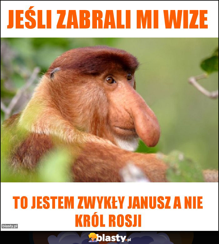 Jeśli zabrali mi wize Jeśli zabrali mi wize