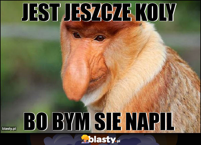 JEST JESZCZE KOLY JEST JESZCZE KOLY