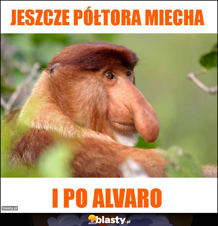 Jeszcze półtora miecha Jeszcze półtora miecha