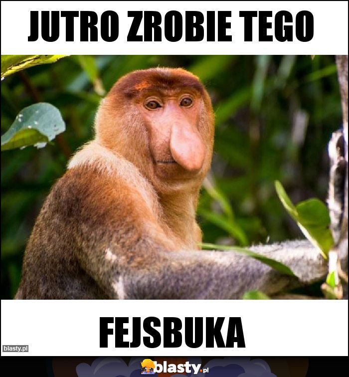 Jutro zrobie tego Jutro zrobie tego