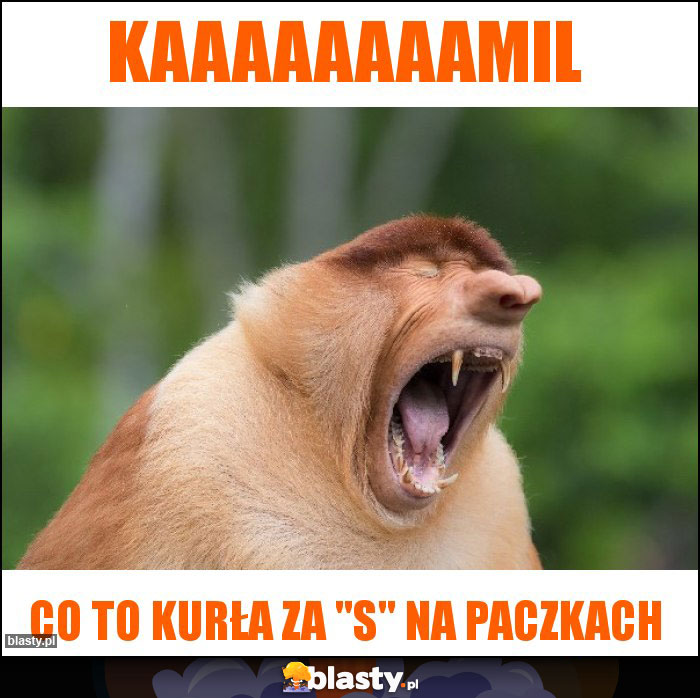 kaaaaaaaamil kaaaaaaaamil